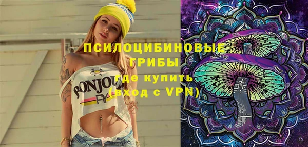 индика Алзамай