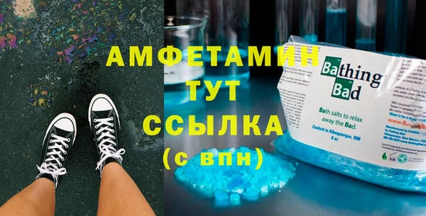 индика Алзамай