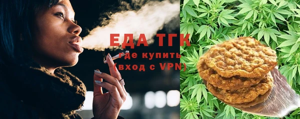 индика Алзамай